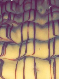 صورة لوصفة كرات اللوتس (سهله و بسيطه)