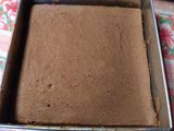 Sponge coklat