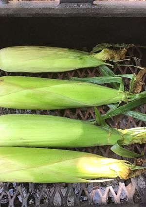 A picture of California Farm Grilled Sweet Corn in the Husk.