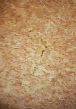 Foto resep Roti sprite