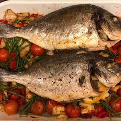 A picture of Oven roast harissa sea bream on samphire 🐟🌿.