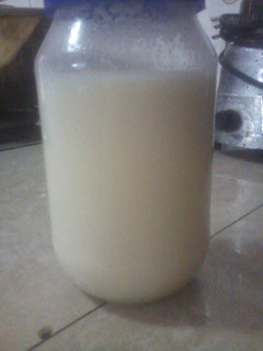 Una foto de Ponche crema casero (solo para adultos)