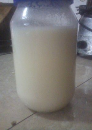 Una foto de Ponche crema casero (solo para adultos)