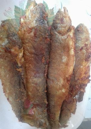 عکسی از دستور ماهی سوخاری قزل