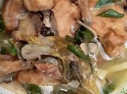 Gambar ikan cucut cabe hijau