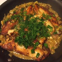 A picture of Fillet Fish with White Wine and Mushroom Sauce.