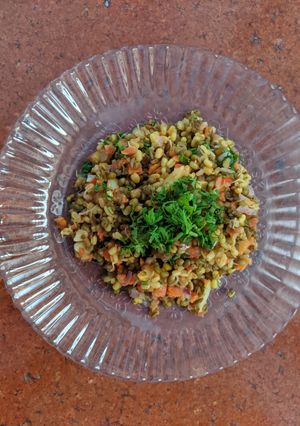 अंकुरित मूंग (Ankurit moong recipe in hindi) रेसिपी मुख्य फोटो
