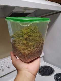 A picture of Oat cereal.