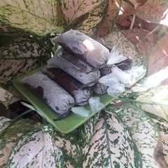 รูปของ Es Lilin Cokelat