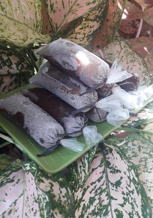 Foto resep Es Lilin Cokelat