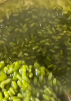 Foto de Arroz ao Pesto
