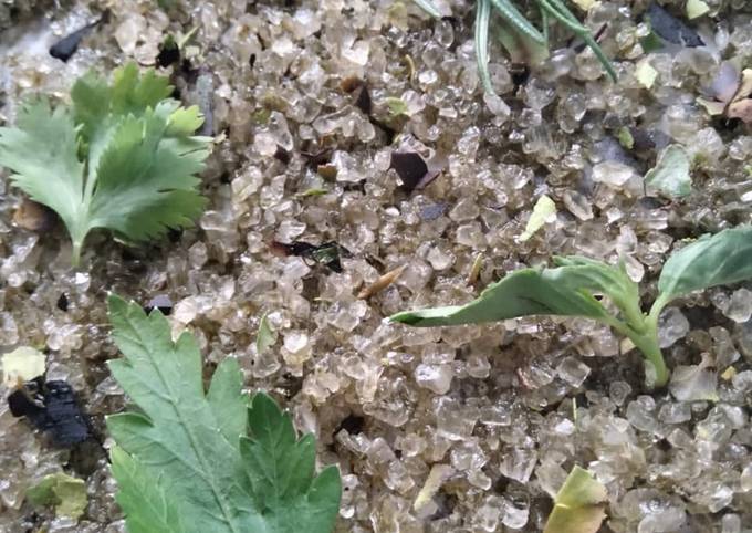 Tuétanos al horno con sal ahumada con hierbas, estilo DULZAL Receta de  Dulzal- Cookpad