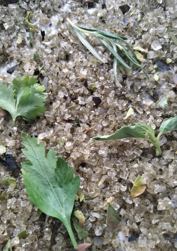 Una foto de Tuétanos al horno con sal ahumada con hierbas, estilo DULZAL