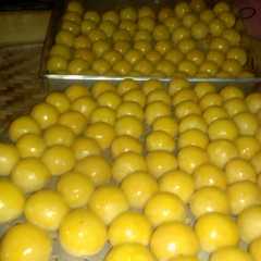 รูปของ Nastar golden