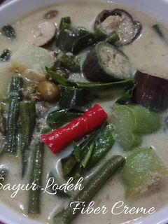 Foto resep Sayur Lodeh Fiber Creme