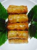 Vegetarian Spring Rolls