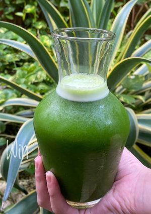 Foto resep Caisim Juice