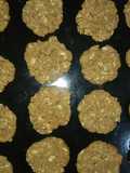 Oatmeal Protein Cookies