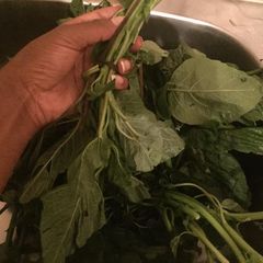 A picture of Managu ugali.