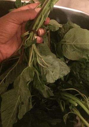 A picture of Managu ugali.