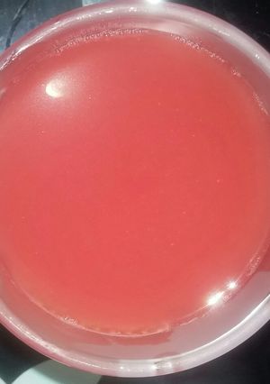 A picture of Watermelon juice.