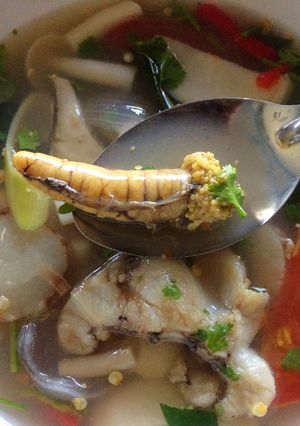 รูปของ ต้มยำปลาช่อน(พุงไข่)