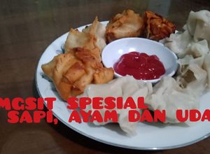 Foto resep Resep pangsit goreng dan rebus, isi daging sapi, ayam dan udang