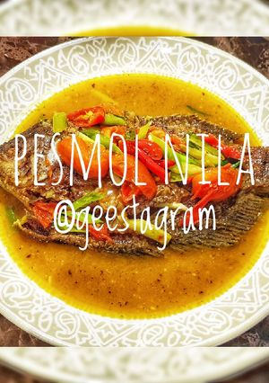 Foto resep #14 Ikan Nila Pesmol
