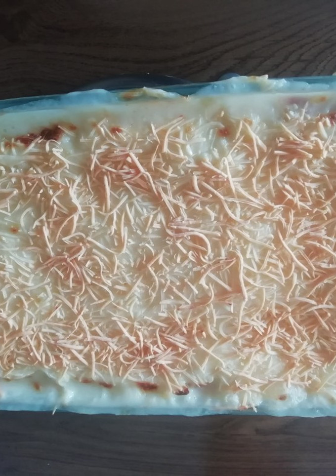 Una foto de Lasagna porque yo lo valgo