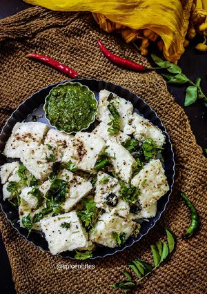 A picture of Khatta Dhokla Idada.