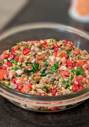 A picture of Sprouted Bhel.