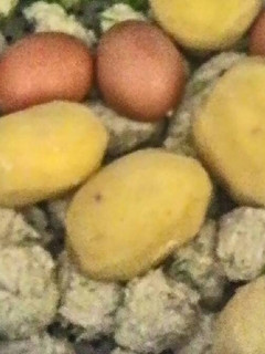 Foto resep Siomay Ikan Tenggiri Makyuss