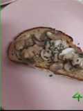 Tosta de setas y ajonesa