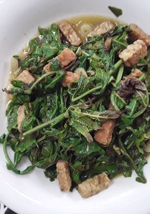 Foto resep Sayur Pakis tumis Tempe