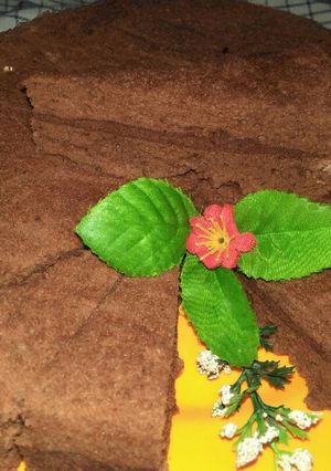 Foto resep Brownies Putih Telur