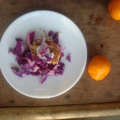 A picture of Purple cabbage salad with grilled chicken breast, feta, and citrus dressing.