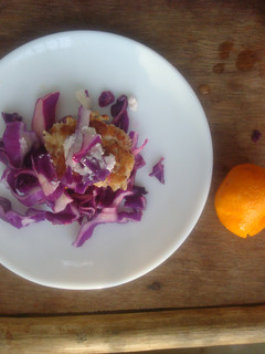 A picture of Purple cabbage salad with grilled chicken breast, feta, and citrus dressing.
