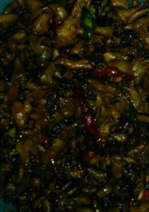 Foto resep Tumis usus goreng kering