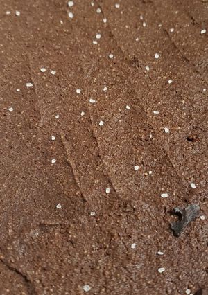 A picture of Super Fudgey Keto Brownies.