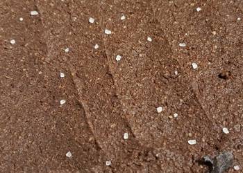 How to Prepare Delicious Super Fudgey Keto Brownies