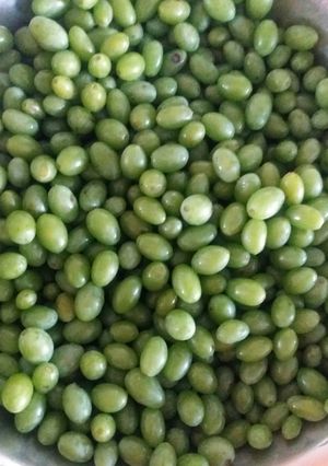 عکسی از دستور فریز کردن غوره