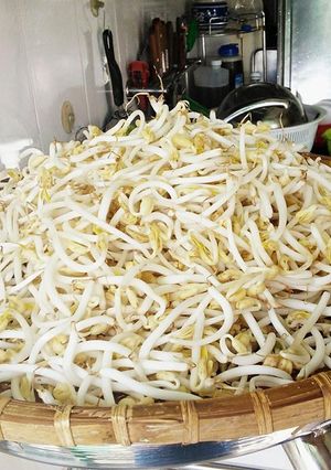 Hình của món Giá đỗ của Rùa.