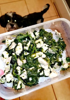 Mézes, spenótos csirkemell üvegtésztával 🍯🥬 recept fotója