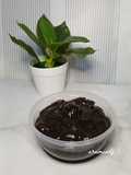 Selai Coklat Milo
