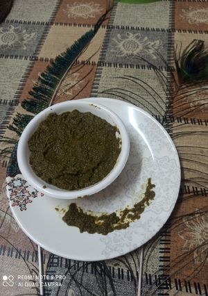 ફુદીના કોથમીર ગ્રીન ચટણી (Pudina Kothmir Green Chutney Recipe In રેસીપી મુખ્ય ફોટો