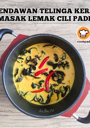 Gambar Cendawan Telinga Kera Masak Lemak Cili Padi