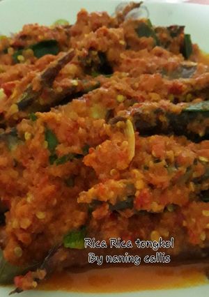 Foto resep Rica Rica tongkol