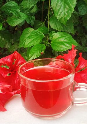 হিবিস্কাস টি (hibiscus tea recipe in Bengali) রেসিপির প্রধান ছবি