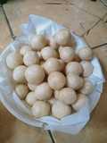 Cimol anti meledak anti gagal