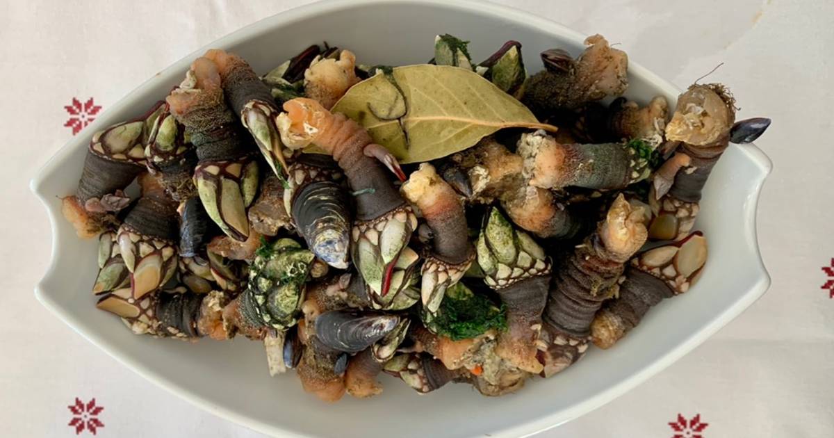 Barnacles Recipe by Lucia Salcidos - Cookpad